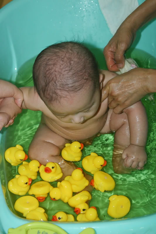 Các bé cực kì thích thú với vịt cao su nhỏ nhỏ, xinh xinh khi tắm