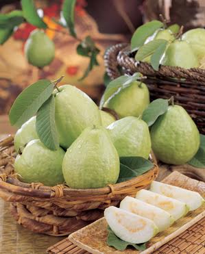 Ăn 1 quả ổi gi&uacute;p loại bỏ nitrite trong 18 c&acirc;y x&uacute;c x&iacute;ch