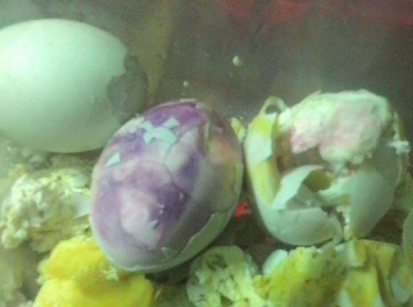Lòng trắng trứng chuyển màu tím sau khi luộc