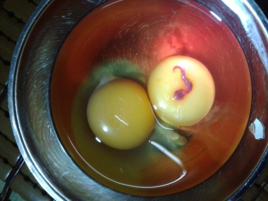 Hiện gia đình bà Hồng vẫn bảo quản quả trứng chứa sinh vật lạ