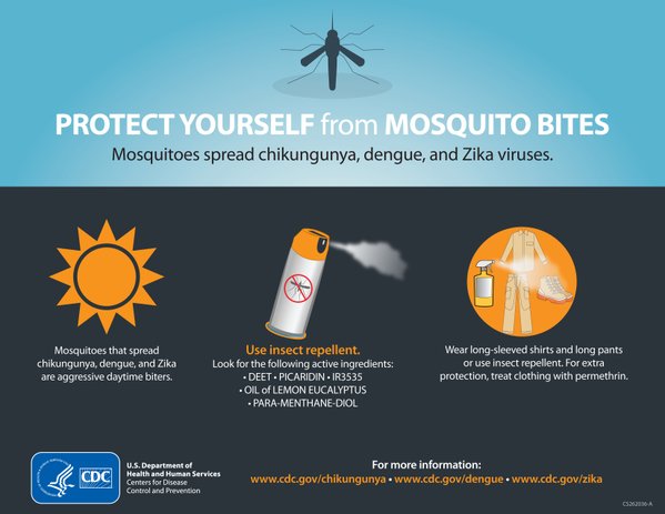 Cảnh báo 22 nước có virut zika phụ nữ mang thai nên tránh du lịch