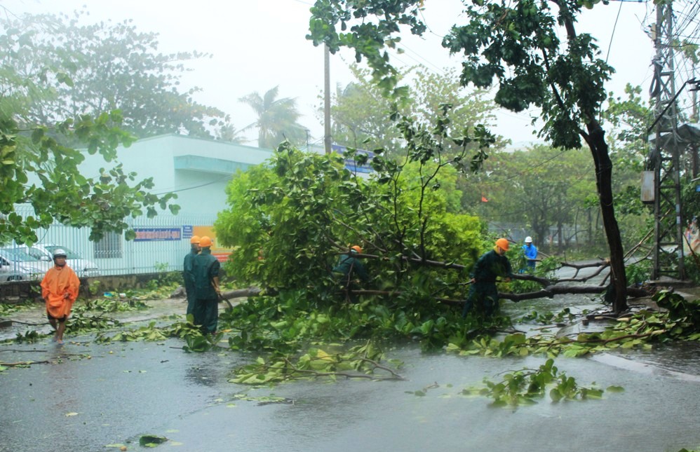 Bão số 11 đã gây thiệt hại lớn tại Đà Nẵng