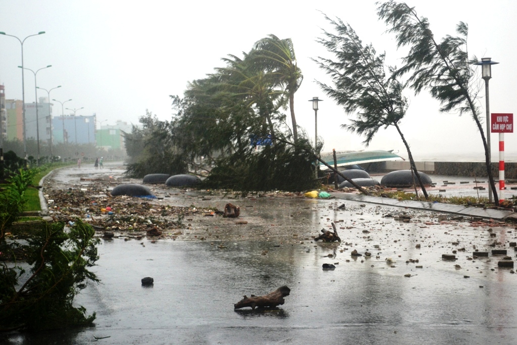 bão số 11  gay nhiều thiệt hại tại Đà Nẵng