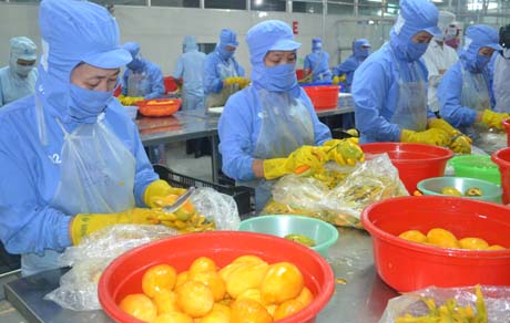 Day manh xuat khau thuy san vao Han Quoc