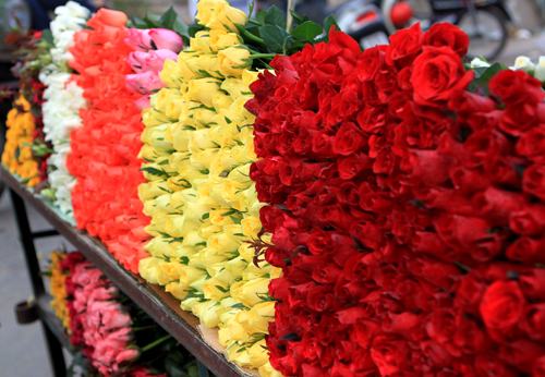 Hoa cho ngày valentine 2014