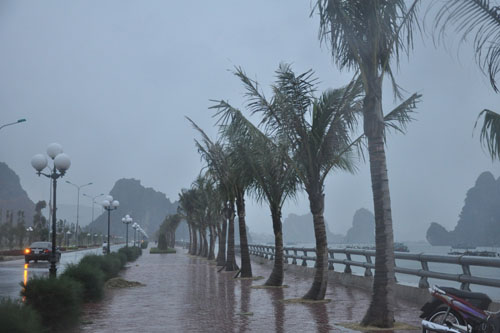 Bão số 14 ảnh hưởng nghiêm trọng đến Quảng Ninh và Hải Phòng