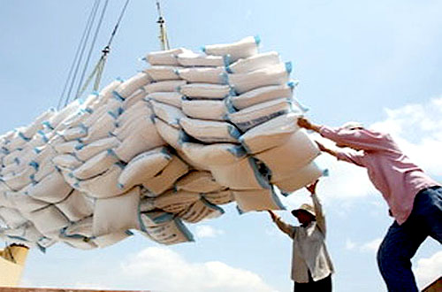 Xuất khẩu gạo phải cạnh tranh khốc liệt
