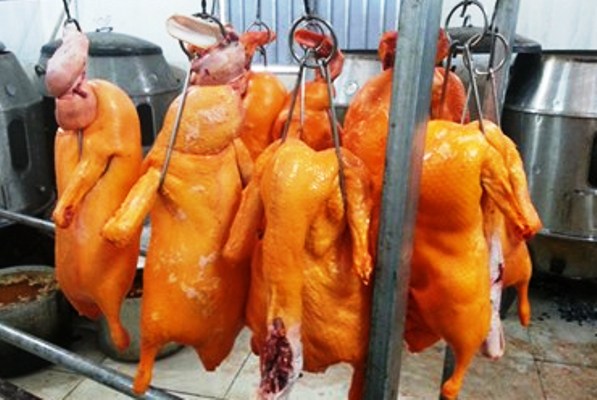 vịt nhuộm phẩm m&agrave;u