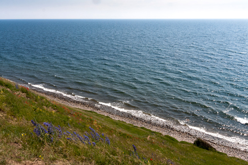 Biển Baltic - nơi có những vùng chết đáng sợ