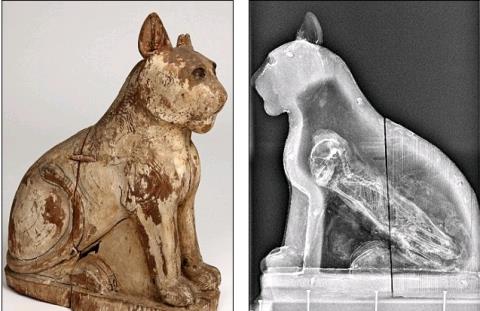 Nhiều xác ướp động vật thời Ai Cập cổ là đồ giả