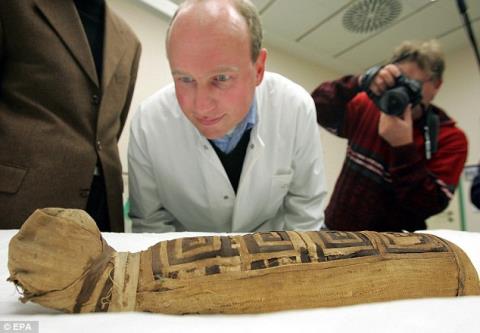1/3 số xác ướp động vật trong hầm mộ Ai Cập cổ đại trống rỗng