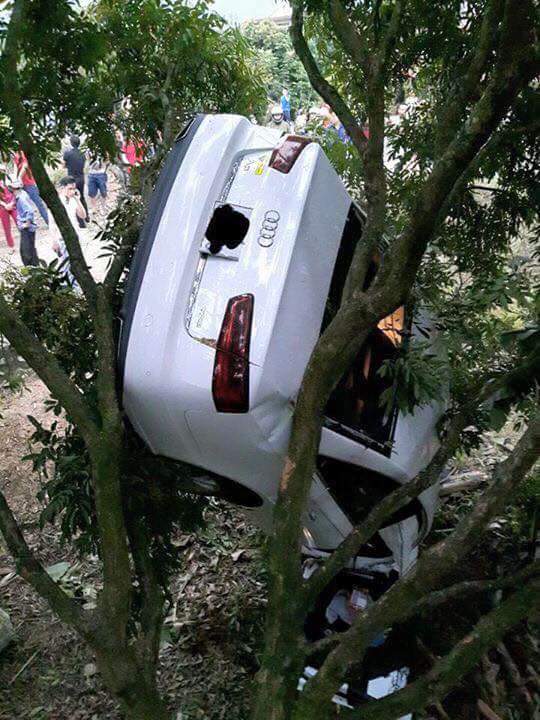 Sau vụ tai nạn, chiếc xe Audi A6 bị dựng ngược trên thân cây nhãn