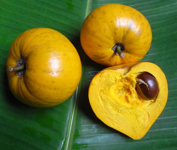 Người Việt chê trứng gà (lê ki ma) chín rụng không ăn còn trên Amazon rao bán tiền triệu
