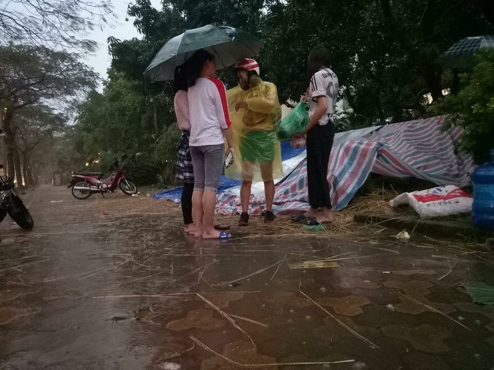 Chùm ảnh: Sinh viên Hà Nội giải cứu dưa hấu giúp nông dân Quảng Ngãi