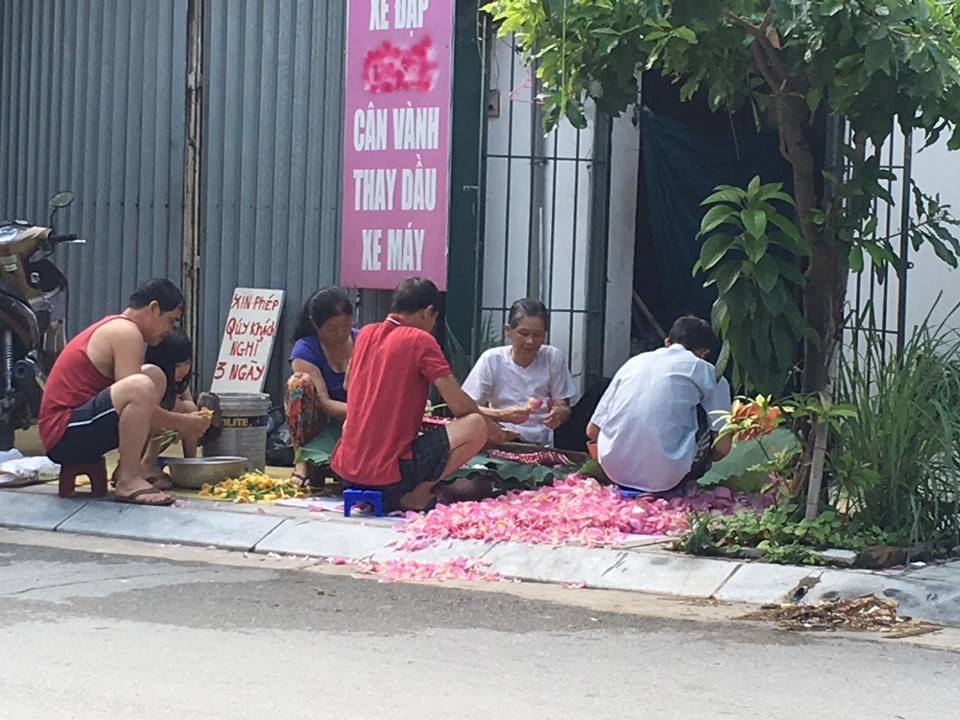 Mùa sen Hà thành - mùa những gánh hàng rong kiếm tiền triệu mỗi ngày 