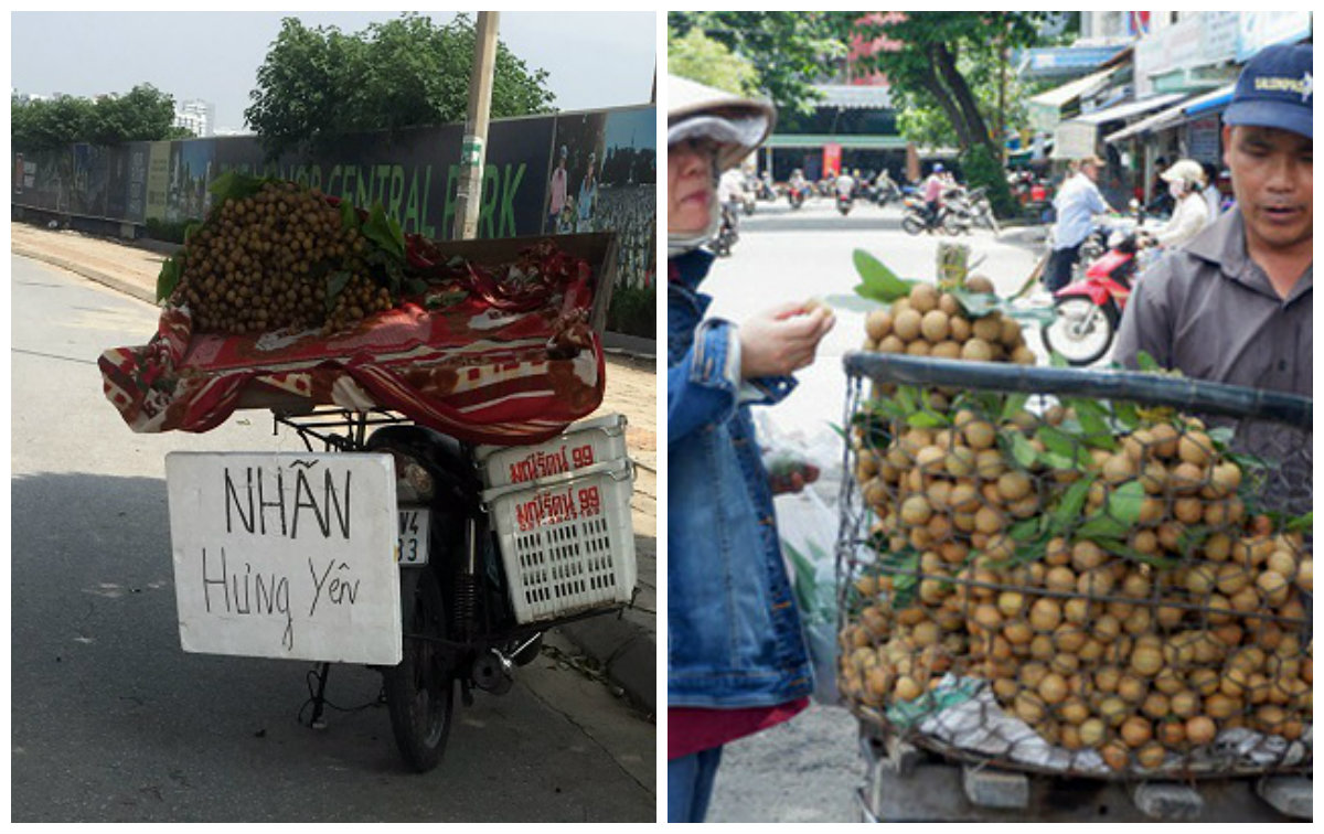 Nhãn lồng Hưng Yên chưa chín nhưng thị trường Hà Nội vẫn bày bán ‘nhan nhản’