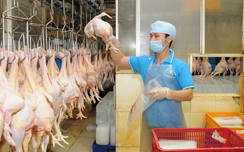 Giá thịt gà, cá, thủy hải sản tăng mạnh tại TP.HCM