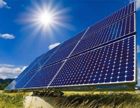 ‘Việt Nam sẽ trở thành cường quốc về điện mặt trời trong thời gian ngắn’