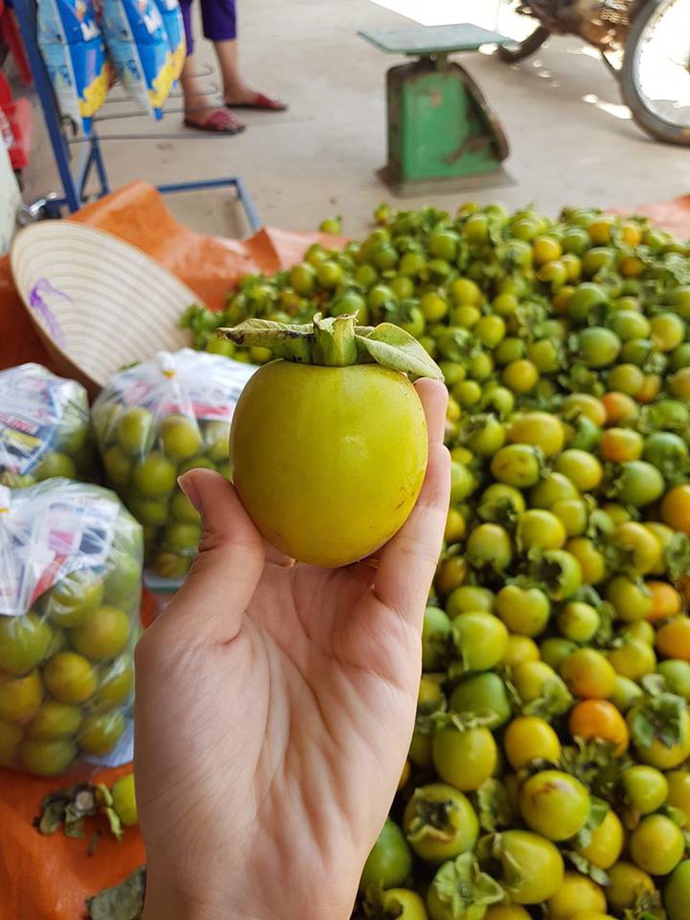 Hồng giòn đầu mùa giá rẻ và cách chọn hồng chuẩn ‘made in Việt Nam’