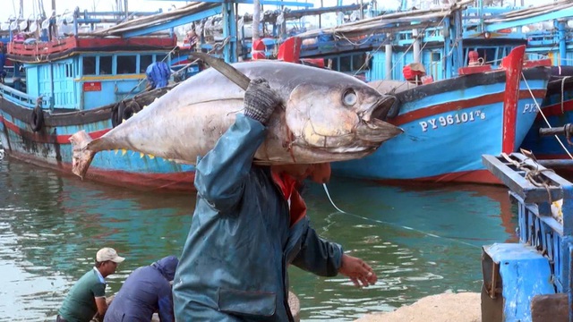 Hy Lạp tăng nhập khẩu cá ngừ từ Việt Nam