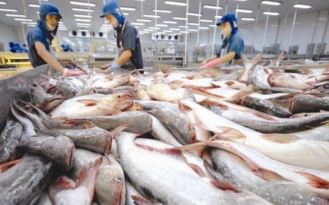 Mỹ giảm thuế cá tra Việt Nam xuống 0%