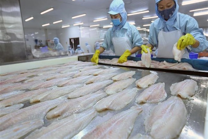 Kiểm soát tốt chất lượng, cá tra Việt tự tin mở rộng thị trường
