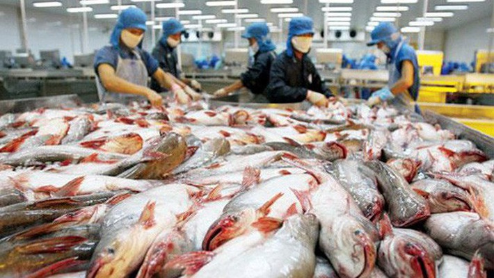 uất khẩu cá tra sẽ đạt 2,3 tỷ USD