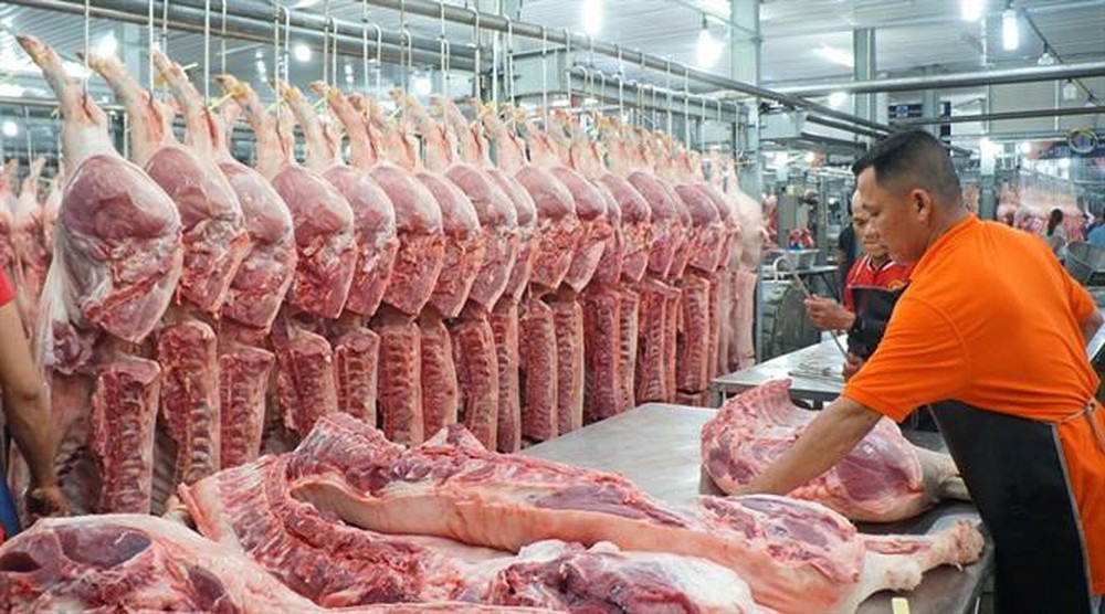 Nhiều doanh nghiệp chăn nuôi bắt đầu giảm giá thịt lợn