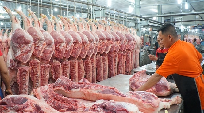 Nhiều doanh nghiệp chăn nuôi giảm giá thịt lợn