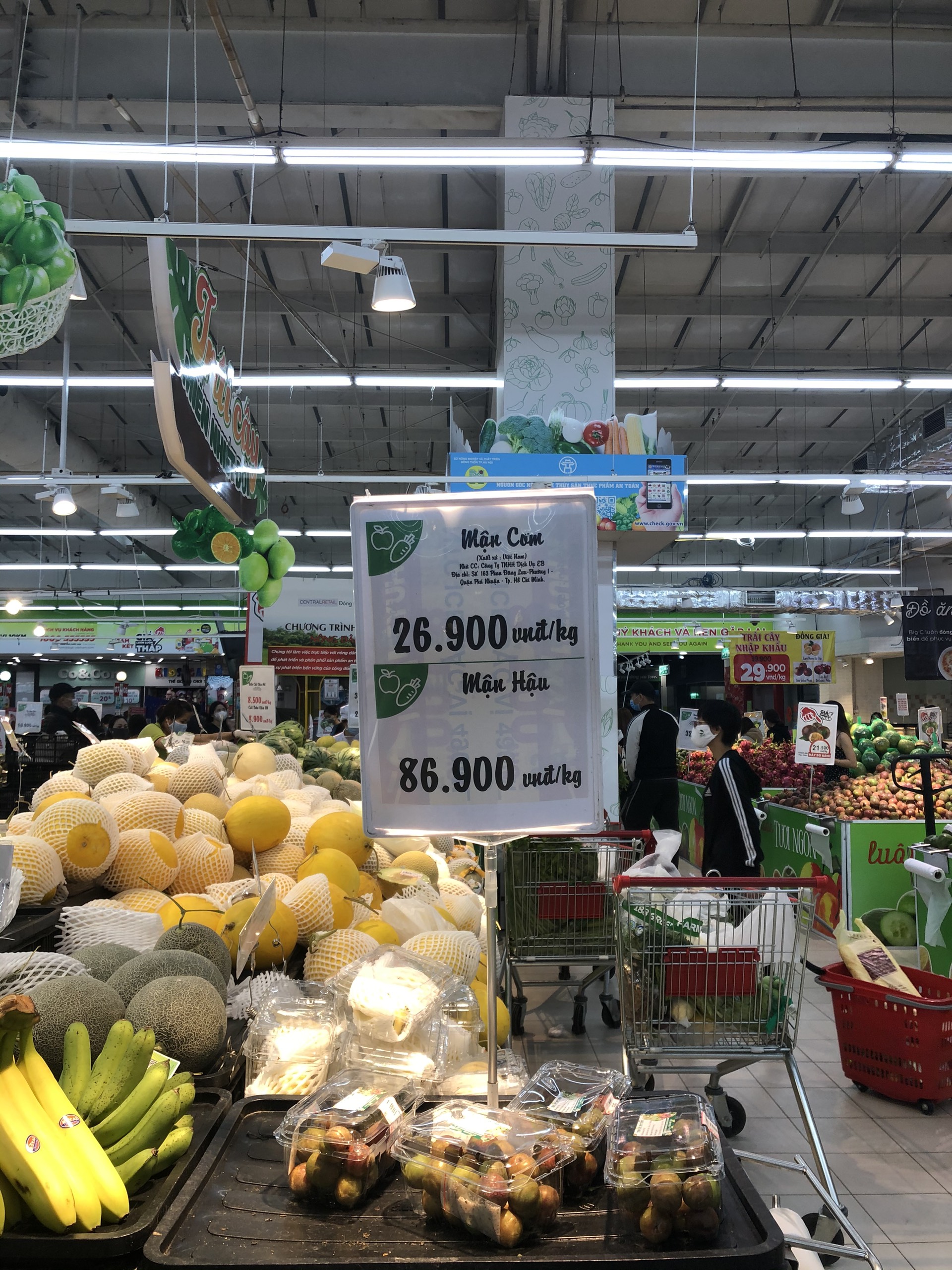 Mận hậu đầu mùa tại Hà Nội 120.000 đồng một kg