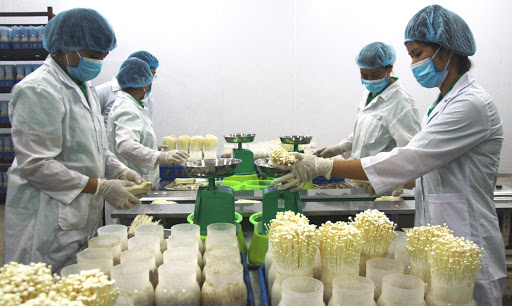 ISO 31000:2018 giúp sản phẩm của Long Hải chiếm lĩnh thị trường