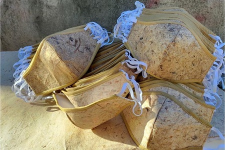 Philippines làm khẩu trang làm từ cây chuối sợi giúp giảm rác thải nhựa