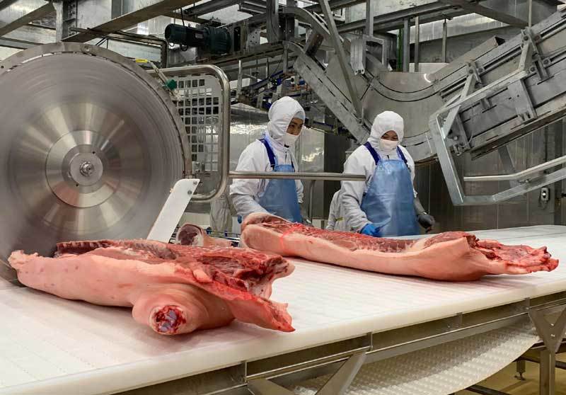 Giá thịt lợn giảm mạnh, người chăn nuôi lại lo lắng