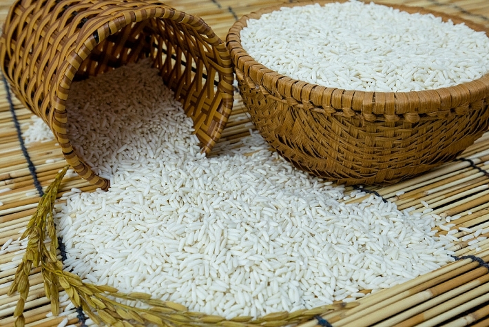 Giá gạo xuất khẩu Việt Nam đạt gần 500 USD/tấn