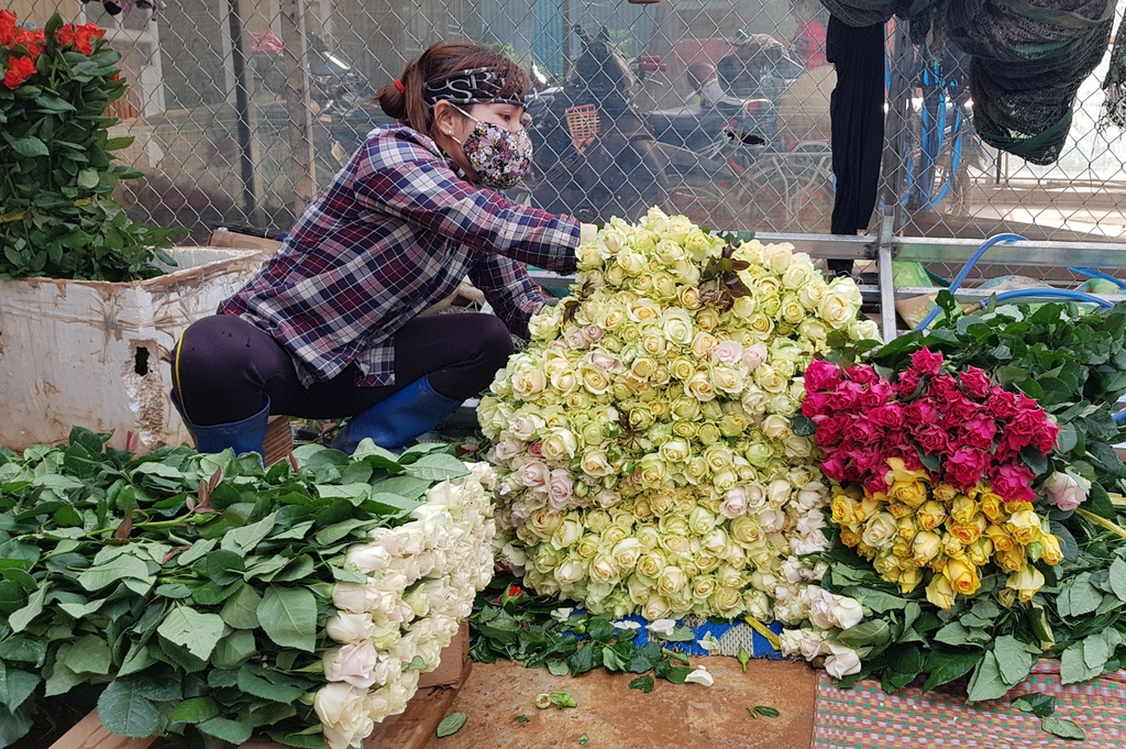 100 triệu cành hoa, 130 tấn bơ ở Lâm Đồng cần được hỗ trợ tiêu thụ