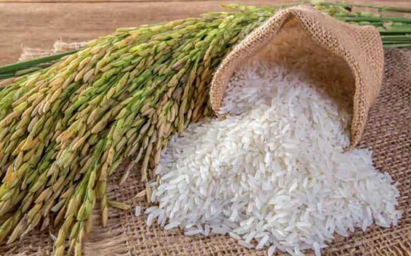 Giá gạo tiếp tục tăng