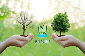 Áp dụng ISO 14001:2015 hiệu quả tại Công ty TNHH Bao bì Việt Bắc 