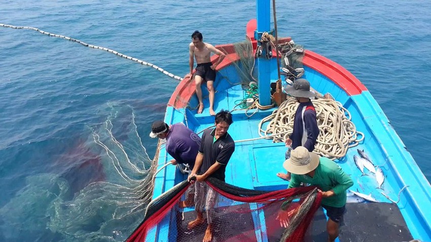 Gỡ thẻ vàng thủy sản: Thủ tướng yêu cầu chấm dứt tình trạng tàu cá khai thác bất hợp pháp 