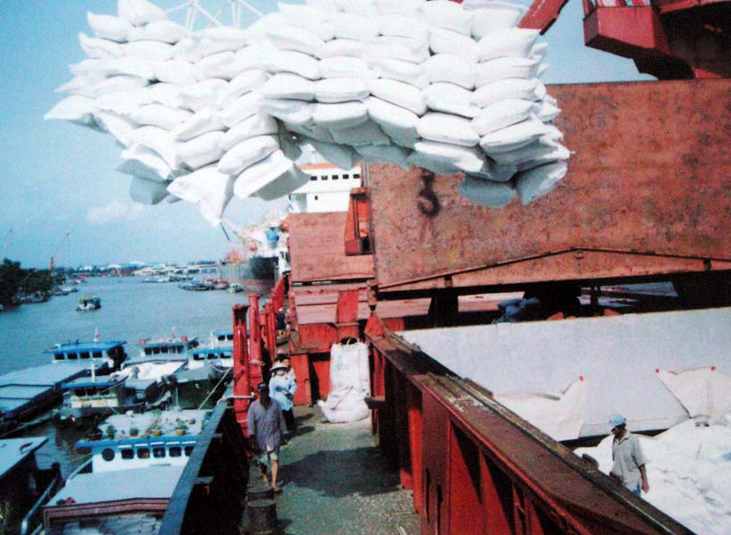 Xuất khẩu lúa gạo tháng 8 sang Philippines đạt thành tích ấn tượng