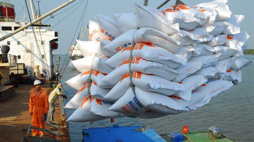 Xuất khẩu lúa gạo tháng 8 khởi sắc chỉ là do Việt Nam đã lạm dụng chiêu bài giá rẻ