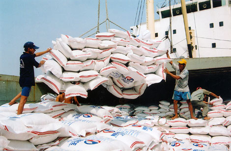 Xuất khẩu lúa gạo theo hợp đồng giá rẻ
