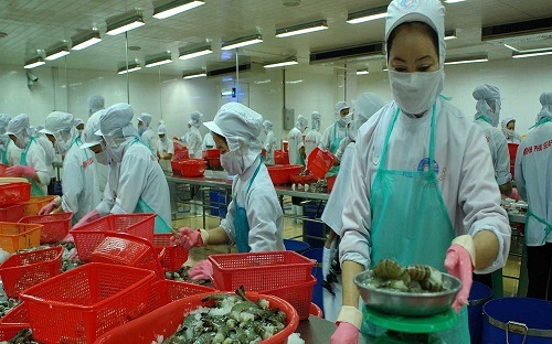 Nhiều doanh nghiệp xuất khẩu nông sản Việt Nam vướng tại thị trường Mỹ do không nắm bắt hết các thủ tục pháp lý. Ảnh minh họa