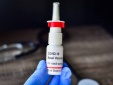 Sản xuất thành công vaccine Covid-19 dạng nhỏ mũi đầu tiên trên thế giới