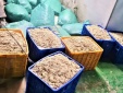 Phát hiện hơn 9 tấn thực phẩm 'bẩn' tại một công ty thực phẩm ở Bắc Giang
