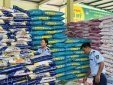 Quyết liệt triệt tiêu tận gốc nạn buôn bán phân bón giả, kém chất lượng
