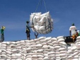 Ngành nông nghiệp sẽ về đích 54 tỷ USD kim ngạch xuất khẩu 