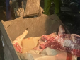 Thu gom 700kg thịt lợn đông lạnh không đảm bảo an toàn thực phẩm