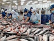 Tác động với doanh nghiệp thủy sản khi Mỹ công nhận Việt Nam có nền kinh tế thị trường