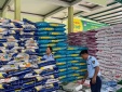 Gia Lai xử phạt 3 hộ kinh doanh phân bón, thuốc bảo vệ thực vật không phép