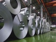 Ấn Độ kết luận sơ bộ điều tra tự vệ với thép cán phẳng hợp kim và không hợp kim nhập khẩu